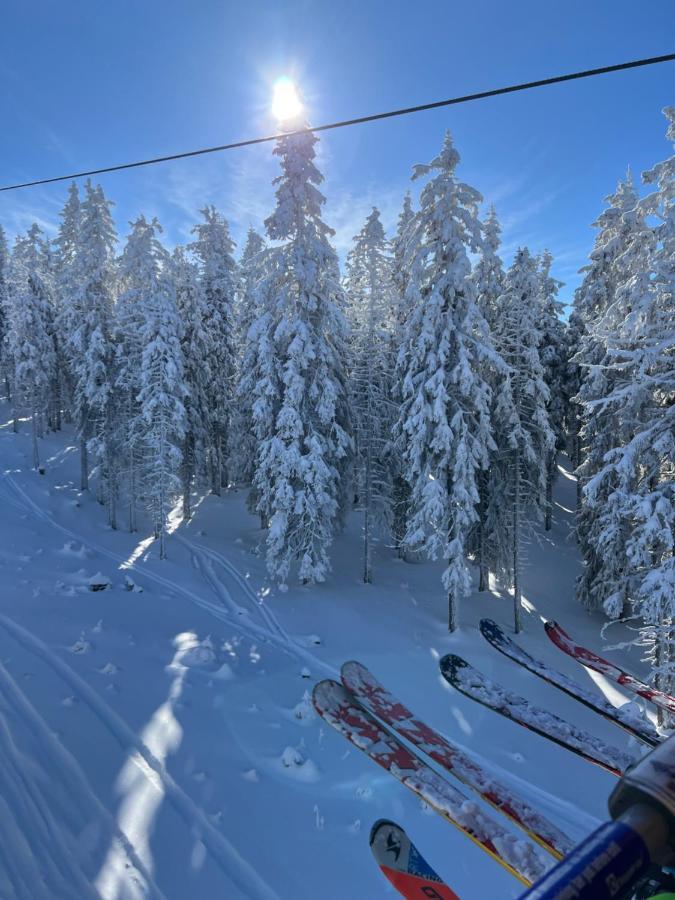 诺因基兴Skigebiete Stuhleck Und Semmering,Wandergebiete Schneeberg Und Rax别墅 外观 照片